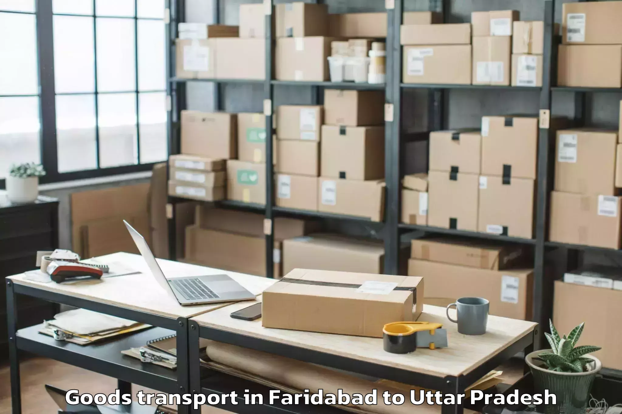 Quality Faridabad to Biswan Goods Transport